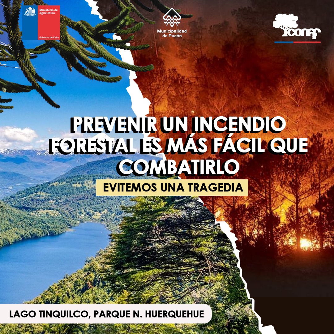 DIRECCIÓN DE RIESGO DEL MUNICIPIO LACUSTRE LLAMA A LA PREVENCIÓN ANTE ALTA PROBABILIDAD DE INCENDIOS FORESTALES EN LA COMUNA