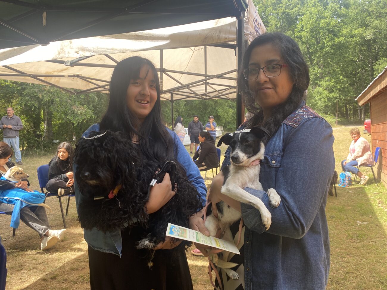 EN SECTOR RURAL DE PUCÓN REALIZARON OPERATIVOS DE ESTERILIZACIÓN GRATUITA DE MASCOTAS – Website de la Municipalidad de Pucón